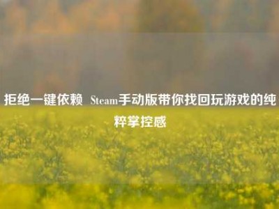 拒绝一键依赖  Steam手动版带你找回玩游戏的纯粹掌控感