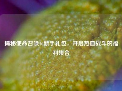 揭秘使命召唤16新手礼包，开启热血战斗的福利集合