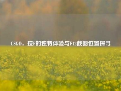 CSGO，按F的独特体验与F12截图位置探寻