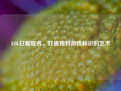 LOL日服取名，打造独特游戏标识的艺术