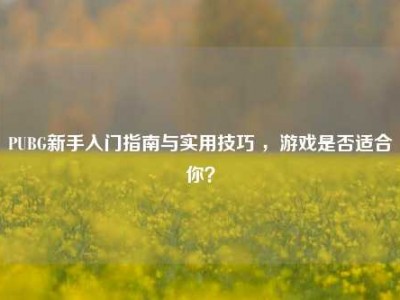 PUBG新手入门指南与实用技巧 ，游戏是否适合你？