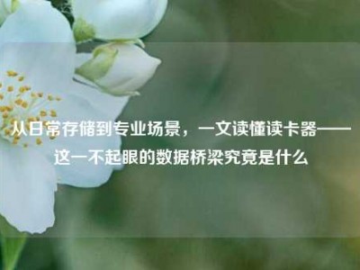 从日常存储到专业场景，一文读懂读卡器——这一不起眼的数据桥梁究竟是什么