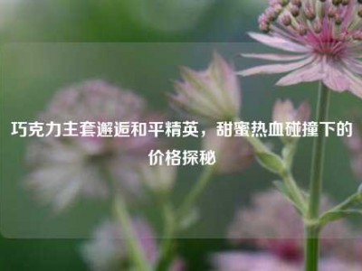 巧克力主套邂逅和平精英，甜蜜热血碰撞下的价格探秘