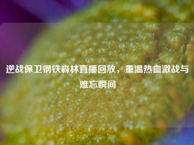 逆战保卫钢铁森林直播回放，重温热血激战与难忘瞬间