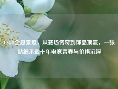 CSGO全息泰坦，从赛场传奇到饰品顶流，一张贴纸承载十年电竞青春与价格沉浮