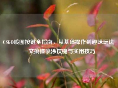CSGO喷图按键全指南，从基础操作到趣味玩法 一文搞懂喷涂按键与实用技巧