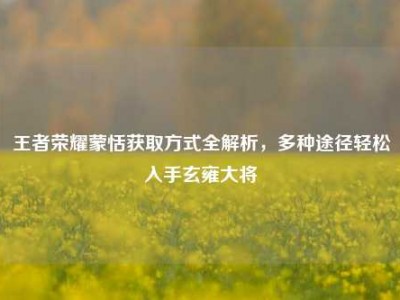 王者荣耀蒙恬获取方式全解析，多种途径轻松入手玄雍大将