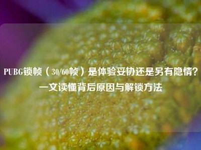PUBG锁帧（30/60帧）是体验妥协还是另有隐情？一文读懂背后原因与解锁方法