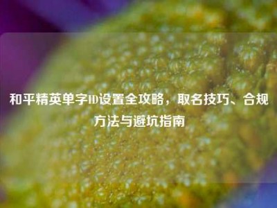 和平精英单字ID设置全攻略，取名技巧、合规方法与避坑指南