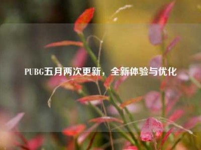 PUBG五月两次更新，全新体验与优化