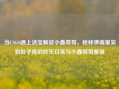 当CSGO遇上活宝解说小鑫哥哥，枪林弹雨里笑到肚子疼的欢乐日常与小鑫哥哥是谁