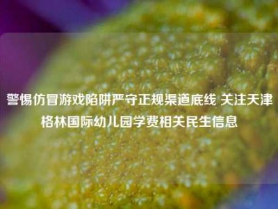 警惕仿冒游戏陷阱严守正规渠道底线 关注天津格林国际幼儿园学费相关民生信息
