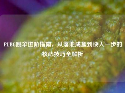 PUBG跳伞进阶指南，从落地成盒到快人一步的核心技巧全解析