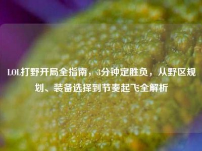 LOL打野开局全指南，3分钟定胜负，从野区规划、装备选择到节奏起飞全解析