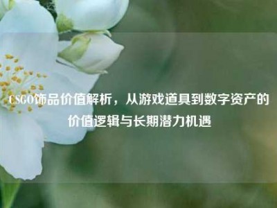 CSGO饰品价值解析，从游戏道具到数字资产的价值逻辑与长期潜力机遇