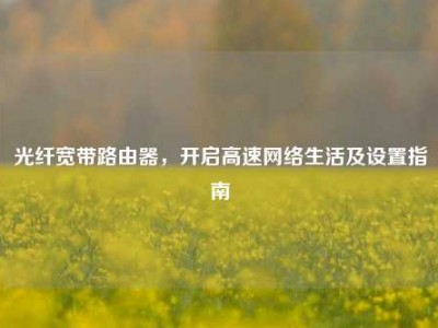 光纤宽带路由器，开启高速网络生活及设置指南