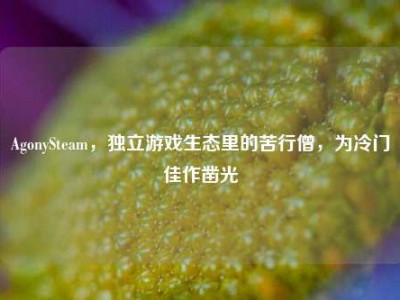 AgonySteam，独立游戏生态里的苦行僧，为冷门佳作凿光