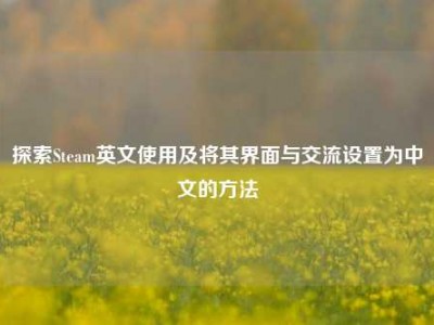 探索Steam英文使用及将其界面与交流设置为中文的方法