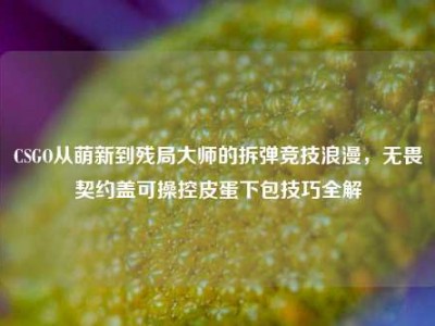 CSGO从萌新到残局大师的拆弹竞技浪漫，无畏契约盖可操控皮蛋下包技巧全解