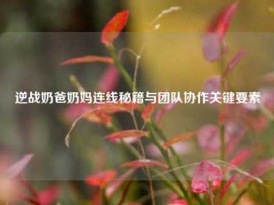 逆战奶爸奶妈连线秘籍与团队协作关键要素