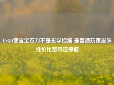 CSGO便宜宝石刀不是玄学捡漏 是普通玩家皮肤性价比密码还保值