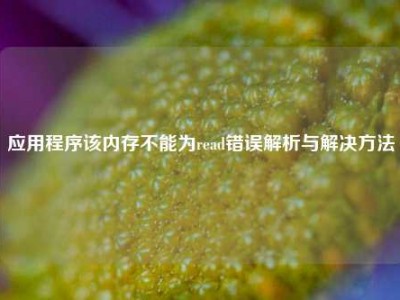 应用程序该内存不能为read错误解析与解决方法