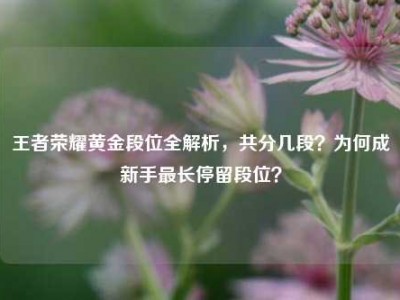 王者荣耀黄金段位全解析，共分几段？为何成新手最长停留段位？