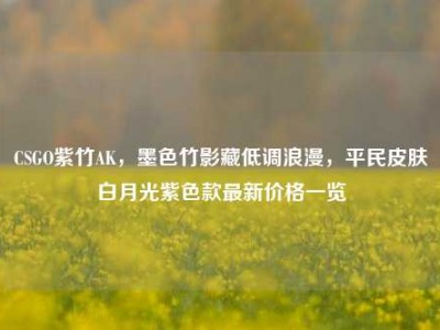 CSGO紫竹AK，墨色竹影藏低调浪漫，平民皮肤白月光紫色款最新价格一览