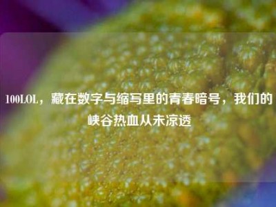 100LOL，藏在数字与缩写里的青春暗号，我们的峡谷热血从未凉透