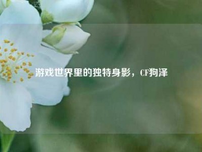 游戏世界里的独特身影，CF狗泽