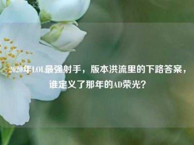 2020年LOL最强射手，版本洪流里的下路答案，谁定义了那年的AD荣光？