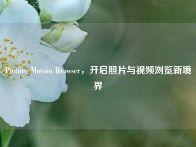 Picture Motion Browser，开启照片与视频浏览新境界