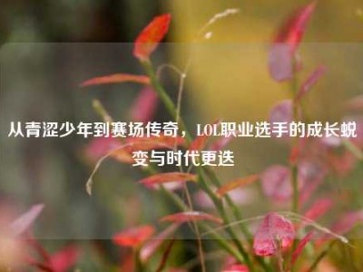 从青涩少年到赛场传奇，LOL职业选手的成长蜕变与时代更迭