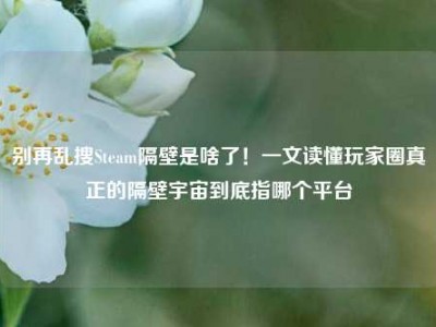别再乱搜Steam隔壁是啥了！一文读懂玩家圈真正的隔壁宇宙到底指哪个平台