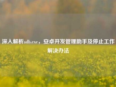 深入解析adb.exe，安卓开发管理助手及停止工作解决办法
