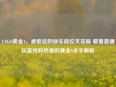 CSGO黄金4，被低估的快乐段位天花板 藏着普通玩家纯粹热爱的黄金S水平解析