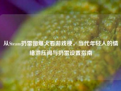 从Steam扔雷图爆火看游戏梗，当代年轻人的情绪泄压阀与扔雷设置指南