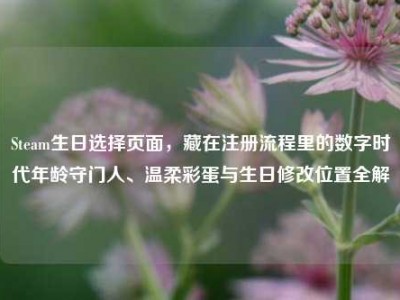 Steam生日选择页面，藏在注册流程里的数字时代年龄守门人、温柔彩蛋与生日修改位置全解