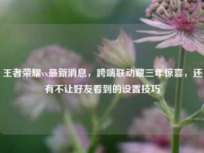王者荣耀vx最新消息，跨端联动藏三年惊喜，还有不让好友看到的设置技巧