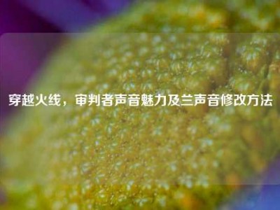 穿越火线，审判者声音魅力及兰声音修改方法