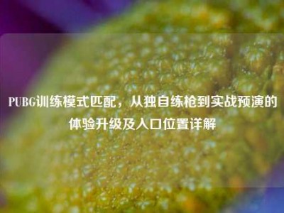 PUBG训练模式匹配，从独自练枪到实战预演的体验升级及入口位置详解