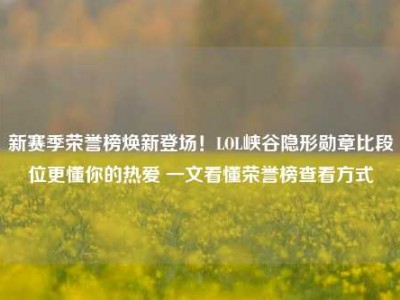 新赛季荣誉榜焕新登场！LOL峡谷隐形勋章比段位更懂你的热爱 一文看懂荣誉榜查看方式