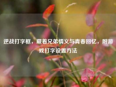 逆战打字框，藏着兄弟情义与青春回忆，附游戏打字设置方法