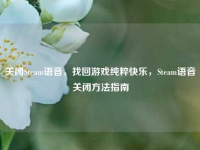 关闭Steam语音，找回游戏纯粹快乐，Steam语音关闭方法指南