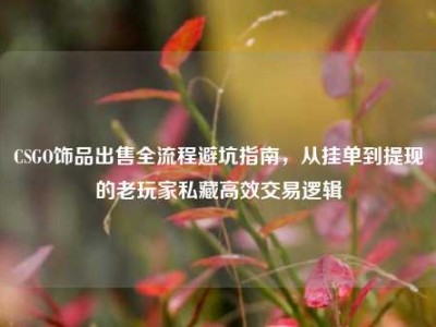 CSGO饰品出售全流程避坑指南，从挂单到提现的老玩家私藏高效交易逻辑