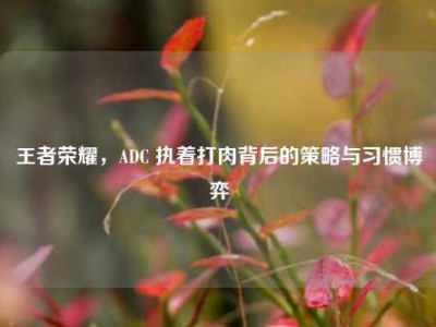 王者荣耀，ADC 执着打肉背后的策略与习惯博弈