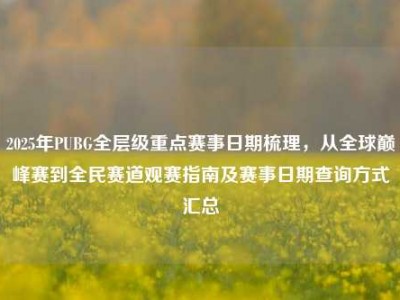 2025年PUBG全层级重点赛事日期梳理，从全球巅峰赛到全民赛道观赛指南及赛事日期查询方式汇总