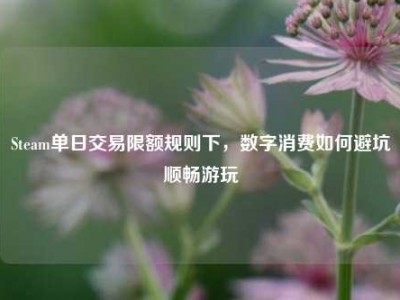 Steam单日交易限额规则下，数字消费如何避坑顺畅游玩