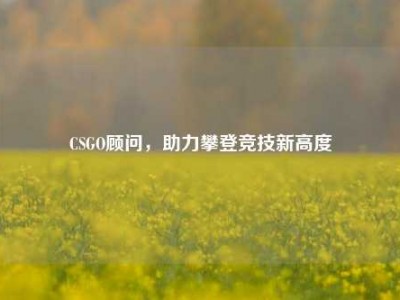 CSGO顾问，助力攀登竞技新高度