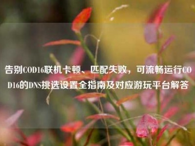 告别COD16联机卡顿、匹配失败，可流畅运行COD16的DNS挑选设置全指南及对应游玩平台解答